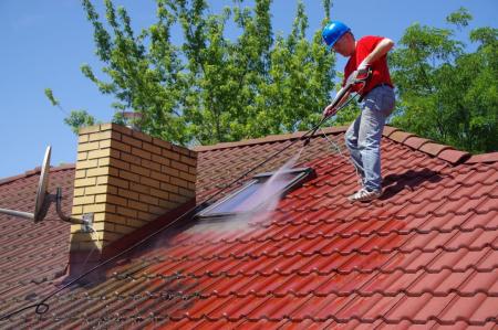 Roof cleaning